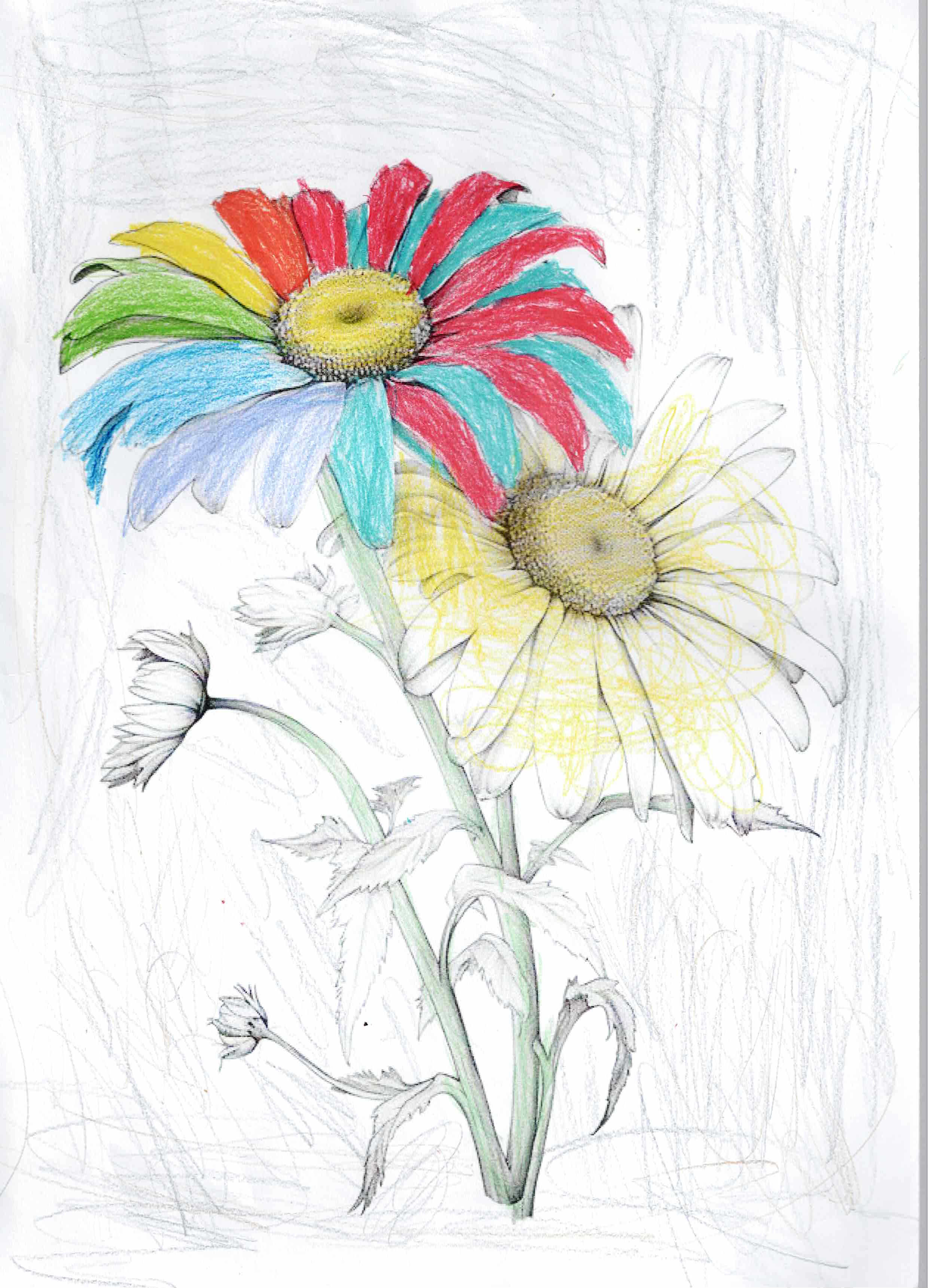 Cuarta obra by Theylor